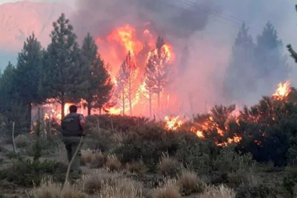 Oficializaron medidas de alivio fiscal para las zonas afectadas por los incendios en el sur