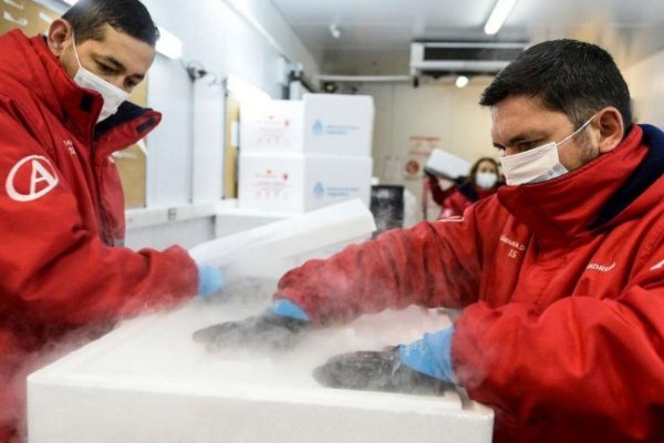 Por un error, en Mendoza se congelaron vacunas contra el coronavirus y podrían perderse las dosis