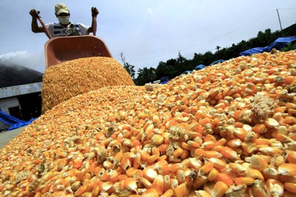 Corrientes, La Pampa y Santiago del Estero, únicas provincias que aumentaron exportaciones