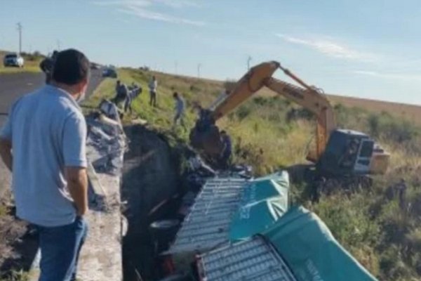 Camionero despistó y terminó en una alcantarilla de la Ruta 119