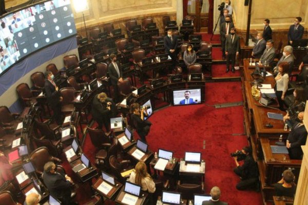 El Senado aprobó por unanimidad un proyecto sobre caducidad de partidos políticos