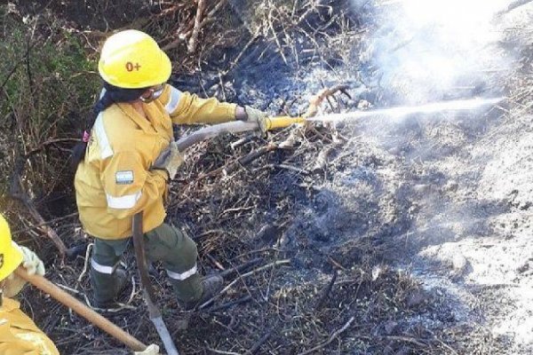 Diputados convirtió en ley la declaración de emergencia por los incendios en el sur
