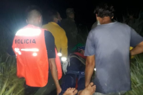 Quiso sacar miel y resultó gravemente herido al caer de un árbol