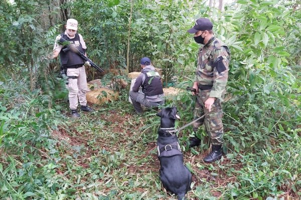 Prefectura secuestró más de 1.100 kilogramos de marihuana