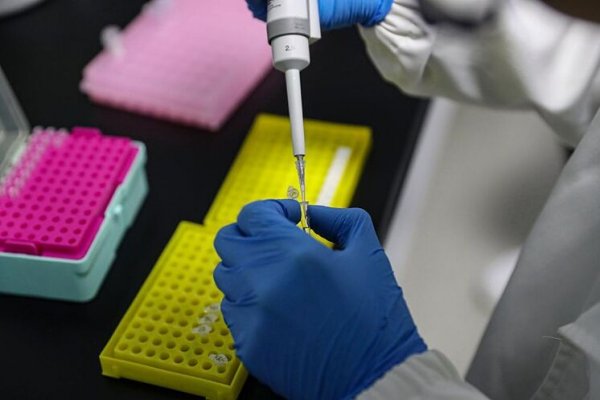 Alerta en Chaco por tres posibles casos de la nueva cepa de Coronavirus