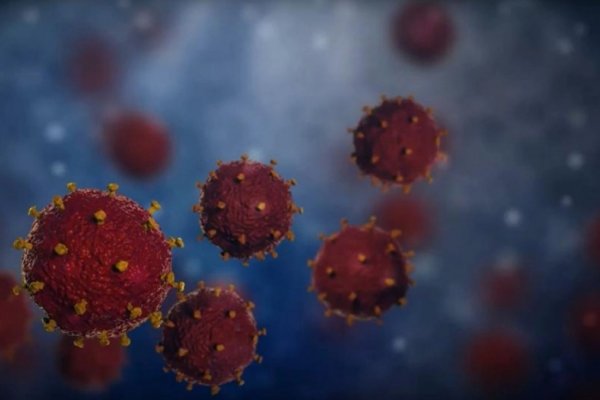 La variante de coronavirus 