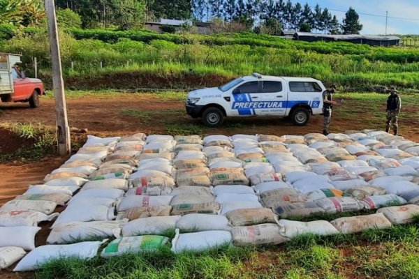 Prefectura secuestró más de nueve toneladas de granos de soja
