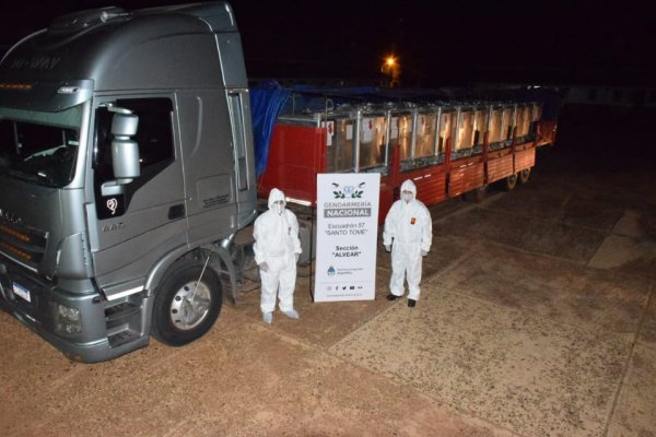 Secuestraron nueve toneladas de precursores químicos transportadas de manera ilegal