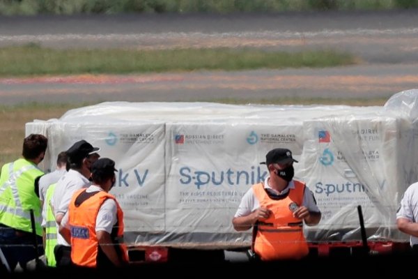 Las dosis argentinas de Sputnik V ya son analizadas en Rusia por el instituto Gamaleya