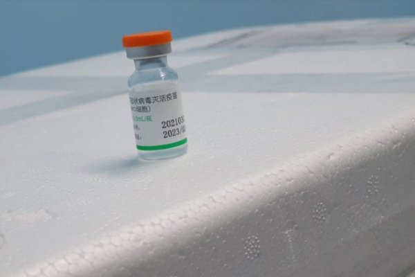 Excombatiente de Malvinas rechazó vacunarse: Ni en pedo me pongo la china