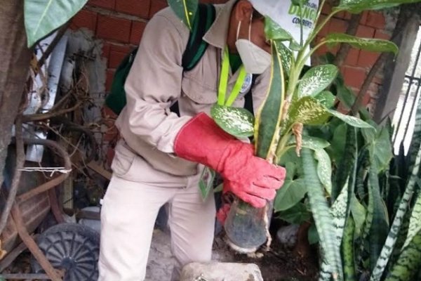 Salud realizó trabajos de bloqueo vectorial en barrios de Capital y en Virasoro