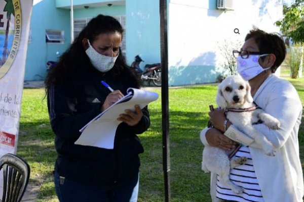 Mascotas Saludables y Delegaciones Móviles visitarán el barrio Molina Punta