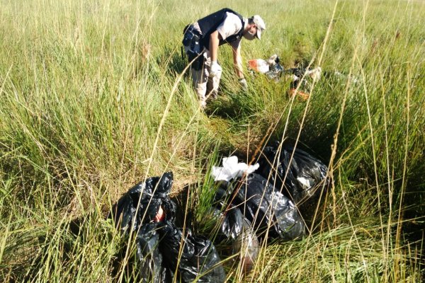 Prefectura secuestró casi 300 kilogramos de marihuana