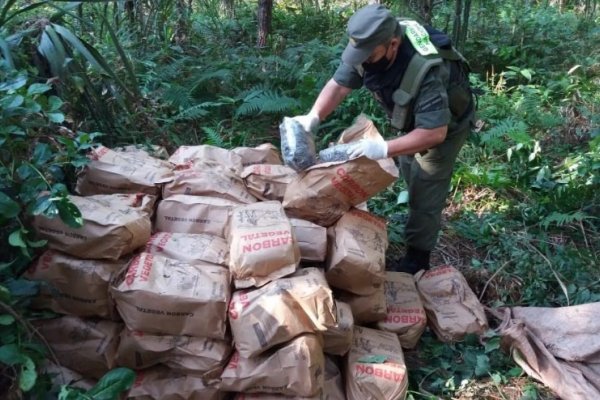 Misiones: Descubren 216 kilos de marihuana dentro de bolsas de carbón