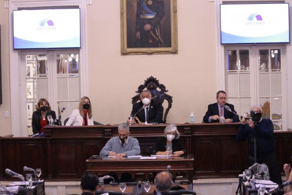 Diputados aprobó homenaje a Ex Combatientes en sus domicilios