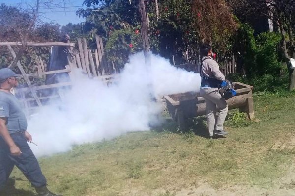 Corrientes registró ocho nuevos casos de Dengue