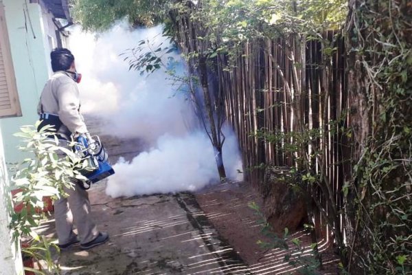Dengue: hubo 12 mil nuevos casos en una semana, suman 28 mil y superan el año récord
