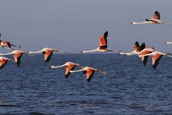 Anunciaron la creación de un nuevo parque nacional en Córdoba