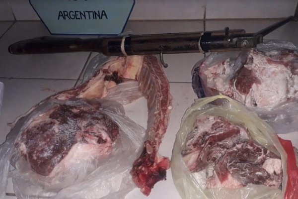 Secuestran carne y otros elementos producto de abigeato en Monte Caseros