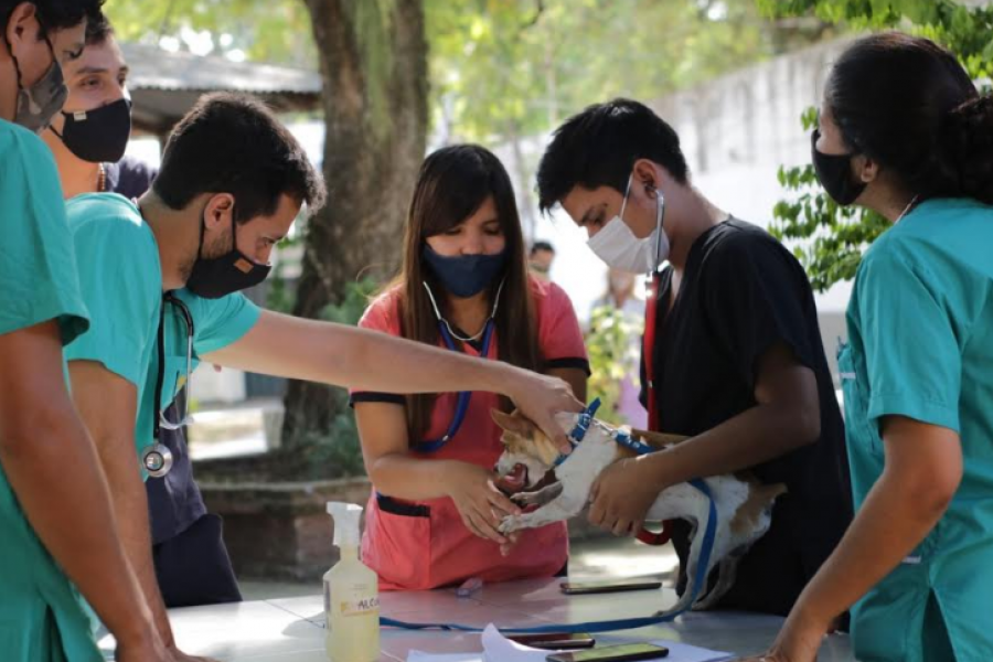 La UNNE mantiene los cupos de su programa de becas estudiantiles en el Ciclo 2021
