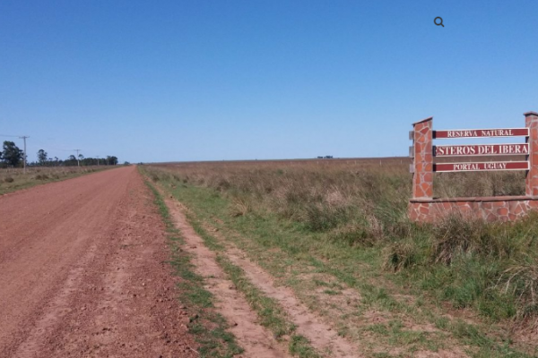 Iberá: Avanzan las mejoras en la Ruta 40