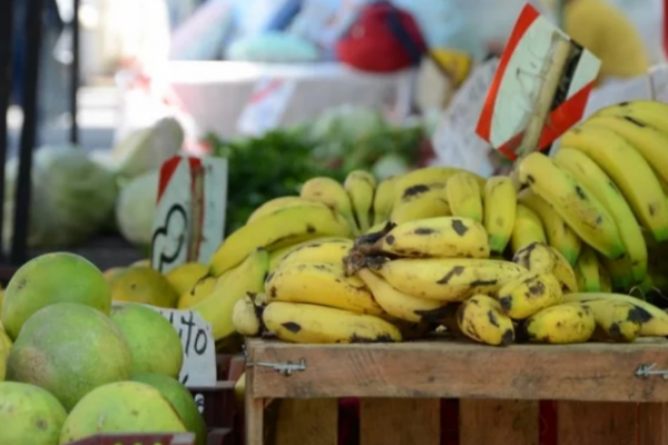 Comienza el recorrido de ferias por dos barrios