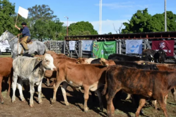 Pequeños productores en Caá Catí