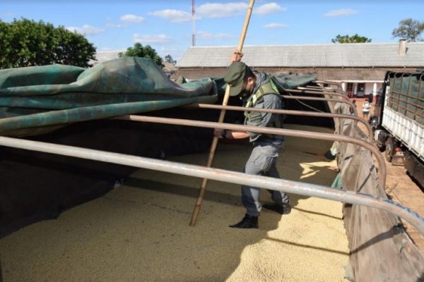 Corrientes: Hallan 52 toneladas de soja en dos transportes de cargas