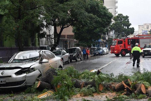 Iban en auto y se les cayó un árbol en Palermo: hay dos heridos