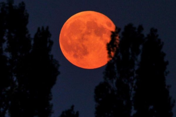 Luna de sangre 2021: cuándo se podrá ver el eclipse lunar total