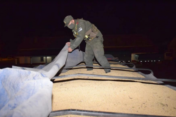 Corrientes: Incautan 29 toneladas de soja con documentación falsa, dólares y pesos en efectivo sin aval legal
