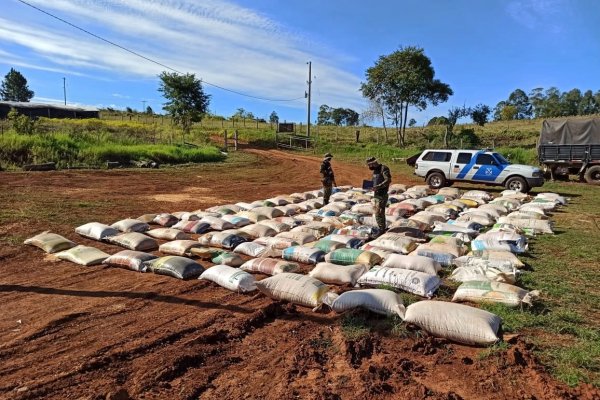 Transporte ilegal de granos: la Prefectura secuestró casi 16 toneladas de maíz