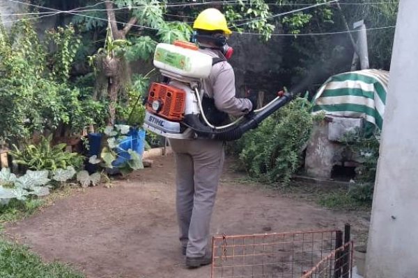 Activaron bloqueos epidemiológicos por un caso de dengue en Corrientes