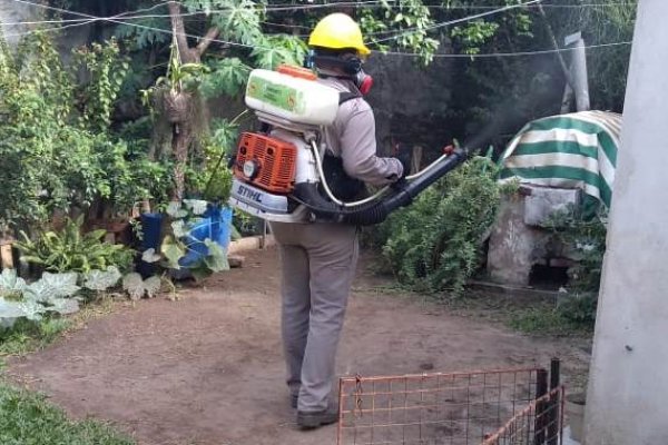 Ya son 31 los casos de Dengue en Corrientes