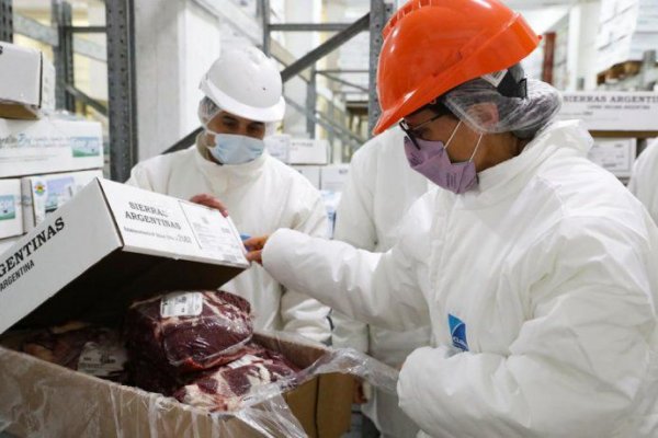 Aduana denunció a 19 frigoríficos por supuesto fraude en exportaciones