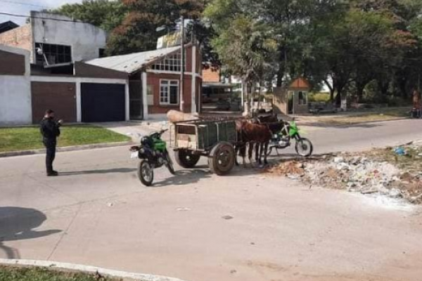 Detuvieron a carreros con un bolso de drogas y dinero