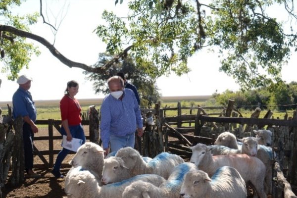 Mercedes: El Intendente recorrió zona rural creando futuro en la producción