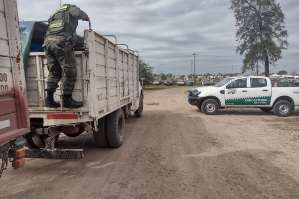 Decomisaron 56 toneladas de granos de soja  transportadas de manera ilegal en Itá Ibaté