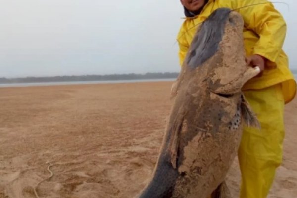 Enérgico rechazo a la captura de un enorme surubí en Corrientes