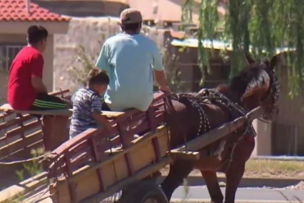 La Municipalidad permite que los carreros transiten de 22 a 6 por el microcentro