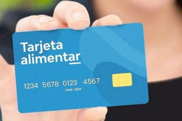 Tarjeta Alimentar: estos son los productos que más se compraron