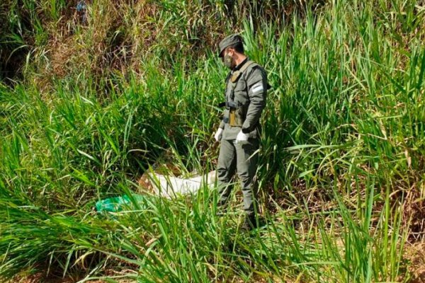 Misiones: Descubren más de 55 kilos de marihuana a orillas del Río Paraná