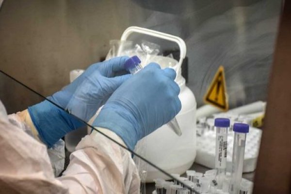 Leve descenso: Detectaron 616 contagios nuevos de Coronavirus