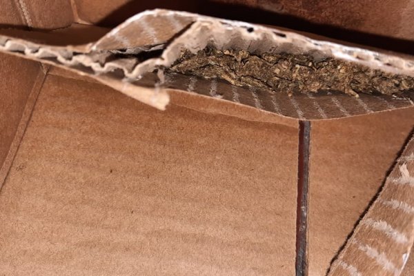 Una mujer intentó ingresar a una comisaría con droga escondida en una caja