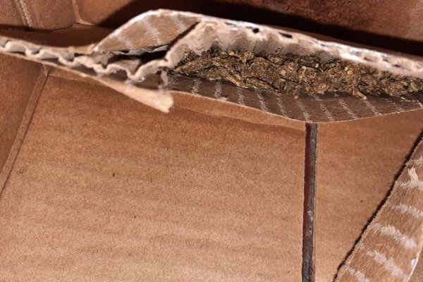 Una mujer intentó ingresar a una comisaría con droga escondida en una caja