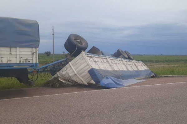 Conductor despistó y volcó el acoplado de su camión cargado de alfalfa