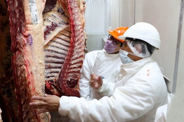 El Gobierno anuncia un Plan Ganadero y un nuevo esquema exportador de carne