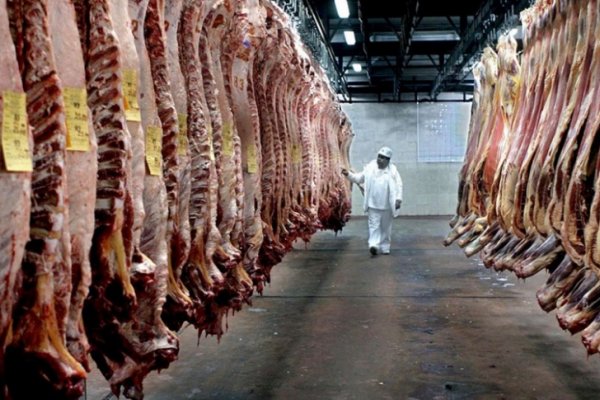 El Gobierno quitará las restricciones para exportar carne si se estabiliza el precio