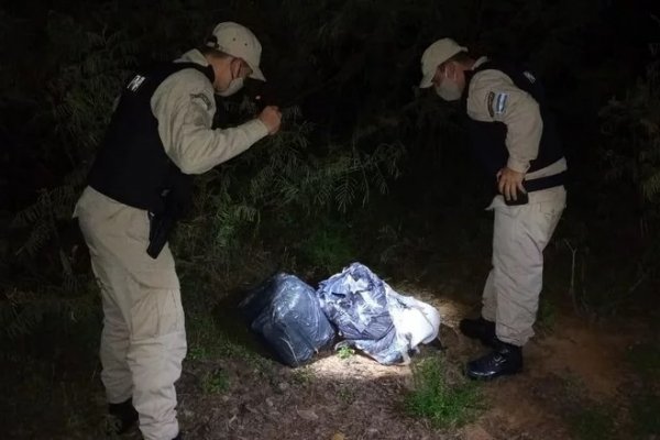 Secuestraron más de 100 kilos marihuana a orillas del río Paraná