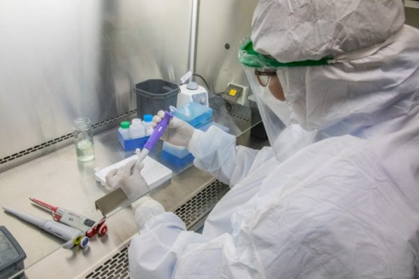 La OMS probará tres nuevas drogas para coronavirus y Argentina participará de los ensayos